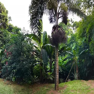 La Nature , Au Cap Seychelles